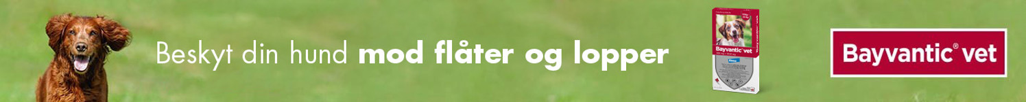 Apotekeren Landingpage Bayvantic 2024 061224, Januar