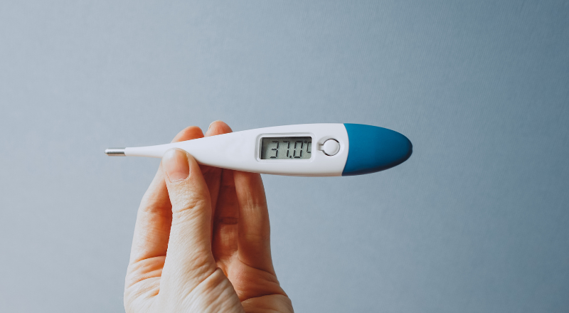 Hvilket termometer skal jeg købe?