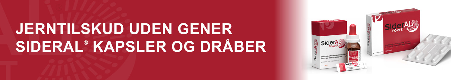 Sideral Banners Dec 20252