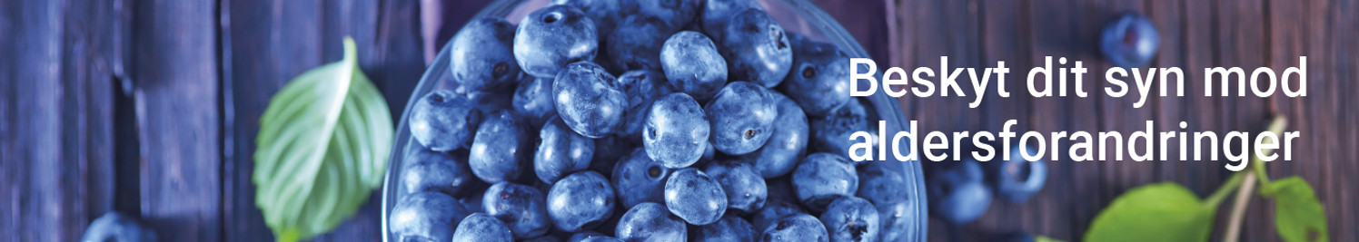 2023 08 Topbanner 1400 X 250Px 2 (1)