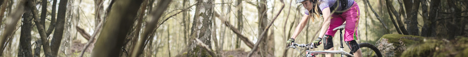 Topbillede Sorbact 1400x172.jpg