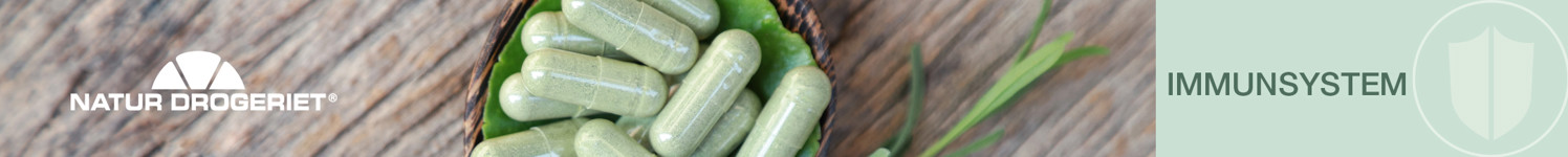 Top Banner ND Immunsystem 2160X216