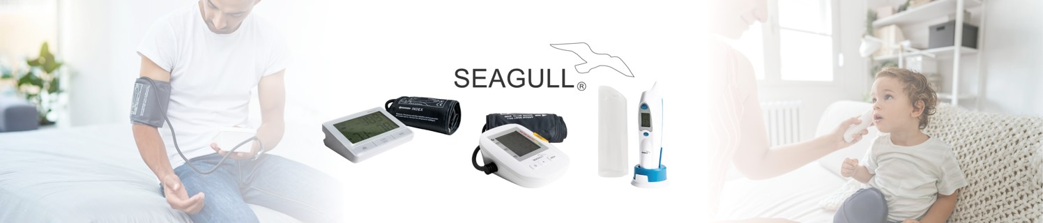 Seagull Landingpage Topbanner Aug 2025