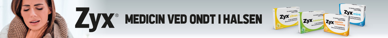 ZYX Topbanner 1400X140px Dec24 2 101224, Januar