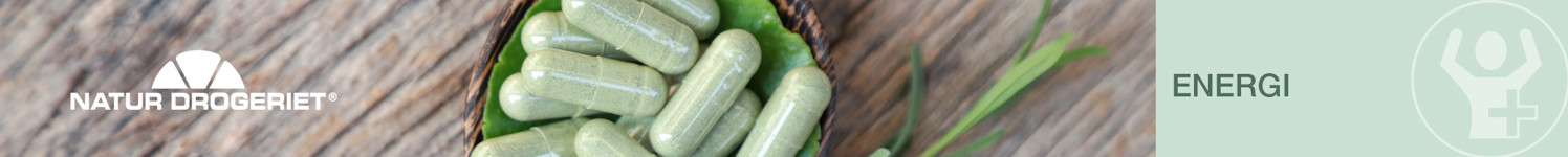 Top Banner ND Energi 2160X216