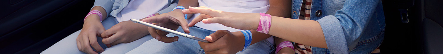 Sea-Band topbillede.jpg