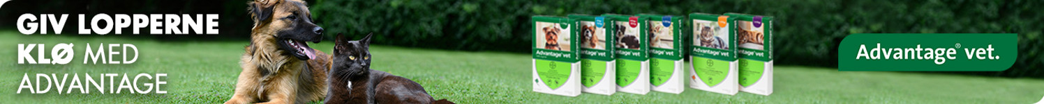 Landingpage Advantagevet 2020