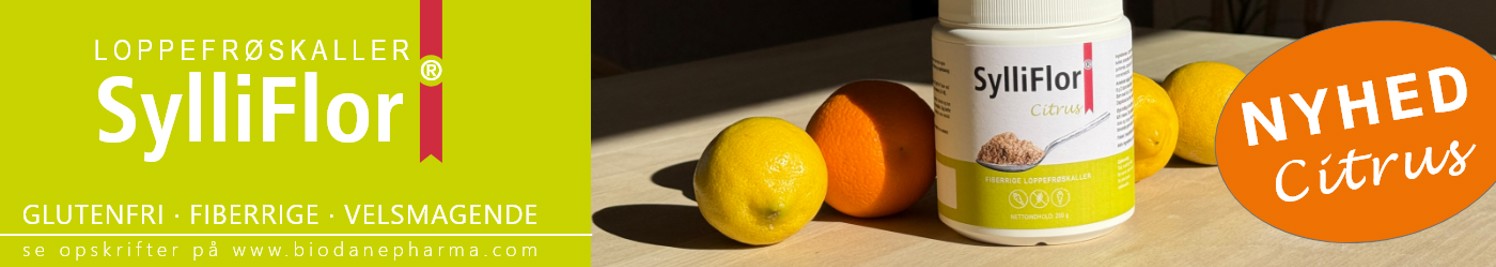 Sylliflor Top Banner Landingpage Okt 2025