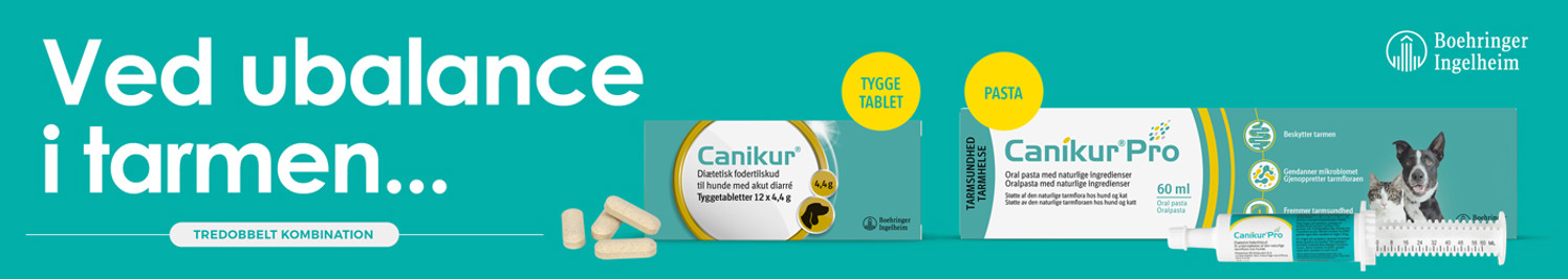 Canikur Canikur Pro DK Web Banner 1400 X 250