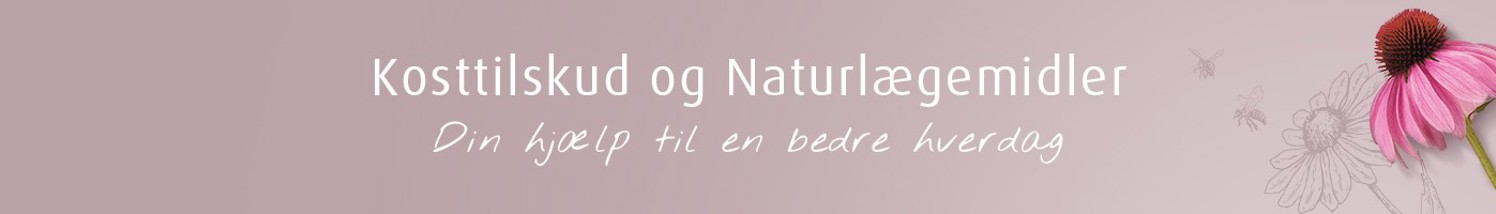 Topbanner Til Landingpage