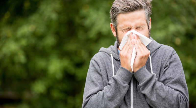 Krydsreaktioner ved pollenallergi