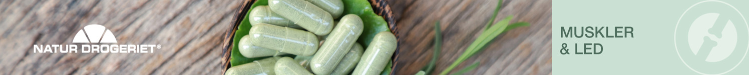 Top Banner ND Musklerogled 2160X216