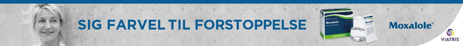 Moxalole Webbanner 1400X140px Landingpage Dec24 101224, Januar