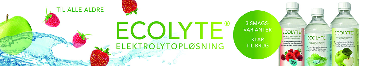 Ecolyte 2025