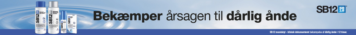 SB12 Webbanner 1400X140px Landingpage Dec22 091222