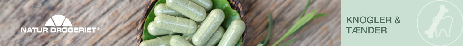 Top Banner ND Knoglerogtaender 2160X216