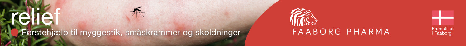 Relief Landingpage 1400X140p 10122024 11224, Januar